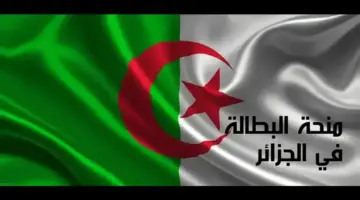 ما هي خطوات تجديد منحة البطالة كل 6 أشهر 2024؟