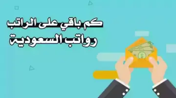 متى موعد صرف أول راتب بعد إجازة عيد الفطر بالسعودية؟ وزارة المالية توضح