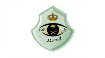 هل يجب سداد جميع المخالفات المرورية أم يمكن تسديد كل مخالفة على حدة؟