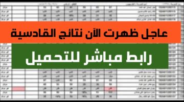 "الف مبروك للناجحين" تحميل نتائج السادس ابتدائي القادسية 2024 موقع نتائجنا