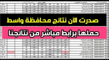 رسميا لينك تنزيل نتائج السادس الابتدائي واسط 2024 الدور الاول