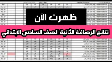 نتائج السادس الابتدائي 2024 الدور الاول الرصافه الثانيه بغداد متوفرة الآن