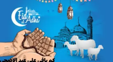 كم باقي على عيد الاضحى 2024؟ "المعهد القومي للفلك" يجيب