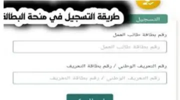 ما هو رابط وشروط تجديد منحة البطالة في الجزائر 2024؟ عبر موقع الوكالة الوطنية الجزائرية