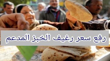 وزارة التموين تكشف نصيف الفرد بعد رفع سعر رغيف الخبز المدعم على البطاقة