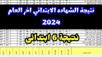 استعلم الآن.. نتيجة الصف السادس الابتدائي برقم الجلوس 2024 جميع محافظات مصر