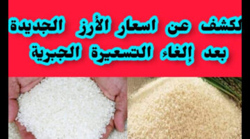 ما هو سعر طن الأرز الشعير للمستهلك بالسوق المحلي لشهر يونيو 2024؟ وزارة التموين توضح
