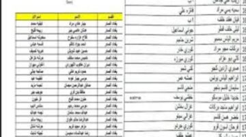 رابط اسماء الرعاية الاجتماعية الوجبة الأخيرة.. وزارة العمل والشؤون الاجتماعية تعلن عن الكشوفات
