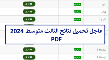 بنسبة نجاح عالية.. تحميل نتائج الثالث متوسط عبر موقع نتائجنا 2024 الدور الأول