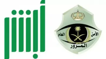 الإدارة العامة للمرور: تجديد استمارة السيارة بدون فحص في حالة واحدة فقط وهذه هي قيمة الرسوم