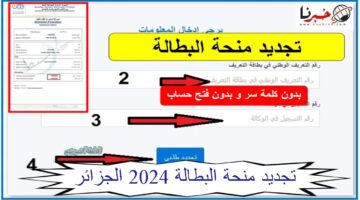 "من هنا" رابط تجديد منحة البطالة 2024 الجزائر وأهم الشروط المطلوبة