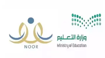 رابط دخول نظام نور برقم الهوية وخطوات الاستعلام عن نتائج الطلاب 1445