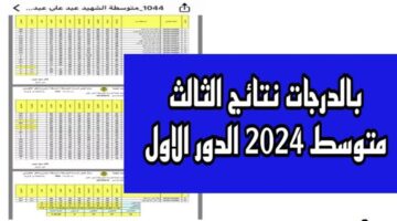ظهرت الان بروابط رسمية .. أستعلام نتائج الثالث متوسط الدور الأول 2024 عبر موقع نتائجنا فور ظهورها بالأسم والرقم الأمتحاني جميع محافظات العراق
