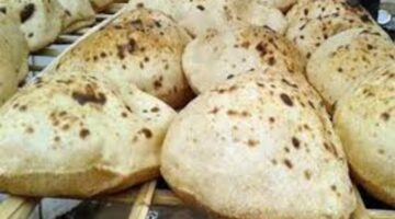 سعر رغيف الخبز المدعم بعد رفع الأسعار وكم نصيب الفرد