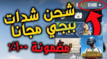 "اشحنها بسهولة للعب باحترافية".. خطوات شحن شدات ببجي مجانًا 2024 من خلال ID
