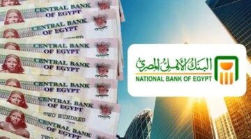 استثمر فلوسك في الشهادة البلاتينية السنوية.. واحصل على أعلى عائد من شهادات البنك الأهلي المصري 2024
