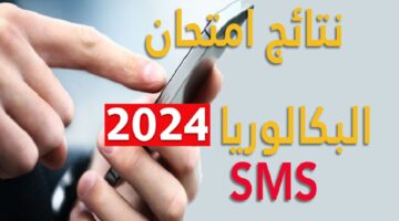 خطوات الحصول على صيغة الشهادة الورقية.. بعد ظهور ​نتائج الدورة العادية للامتحان الوطني الموحد لشهادة البكالوريا بالمغرب
