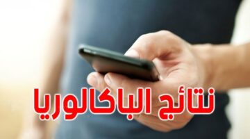 "الآن" نتائج البكالوريا المغرب 2024 الدورة العادية bac.men.gov.ma