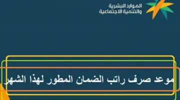 متى ينزل الضمان في حسابات المستفيدين وطريقة الاستعلام عن أهلية الدعم؟