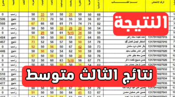 استعلم الآن.. رابط استخراج نتائج الثالث متوسط 2024 بالاسم الدور الأول جميع المحافظات عبر وزارة التربية