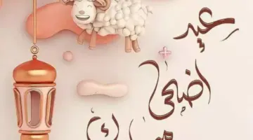 ما هو موعد عيد الأضحى المبارك في الجزائر؟ "الحكومة الجزائرية" توضح