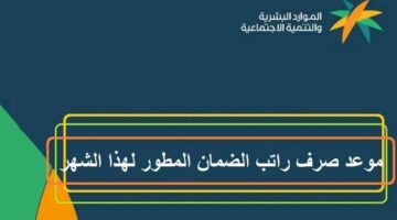 موعد نزول الضمان الاجتماعي المطور دفعة31.. "وزارة الموارد البشرية" توضح