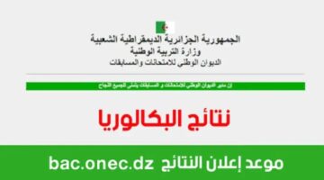 "هنا".. نتائج الجزائر 2024 عبر موقع وزارة التربية الوطنية الجزائرية وموقع فضاء