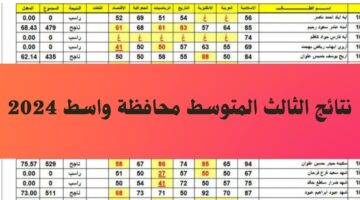 ظهور الان نتائج الثالث المتوسط واسط 2024 عبر موقع نتائجنا results mlzemna