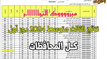 "كــوكـل درايـف" نتائج الثالث متوسط 2024 دور أول عٌـموم المحافظات عبر موقع نتائجنا results.mlazemna.com