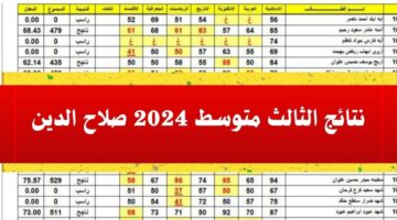 "ظهرت" نتائج الثالث متوسط 2024 صلاح الدين الدور الاول عبر نتائجنا mlazemna