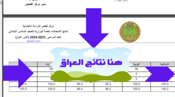 ننشر.. نتائج السادس اعدادي الدور الثالث 2024 موقع نتائجنا pdf وزارة التربية