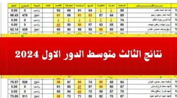 مبروك مقدمًا.. طريقة التعرف على نتائج الثالث المتوسط الدور الاول 2024 العراق