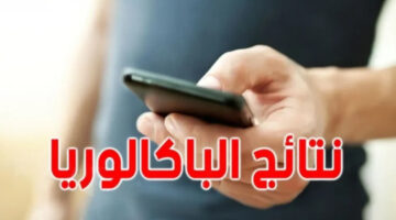 "وزارة التعليم" تعلن رسمياً عن ظهور نتيجة البكالوريا تونس sms