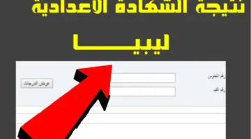 اللينك الأصلي.. استعلم الآن عن نتائج الصف التاسع في ليبيا