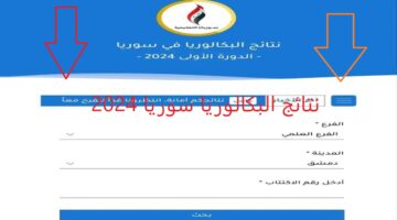 moed gov sy 2024 نتائج البكالوريا سوريا حسب الاسم عبر تطبيق نتائج الامتحانات