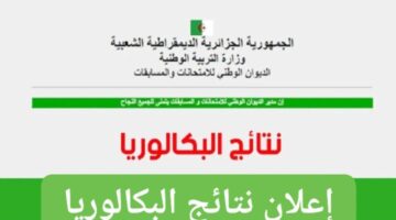 كيف استعلم عن نتائج البكالوريا عبر الديوان الوطني للإمتحانات والمسابقات 2024؟