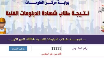 فقط برقم الجلوس .. لينك نتيجة الدبلومات الفنية 2024 الصناعي والتجاري والزراعي nategafany.eg