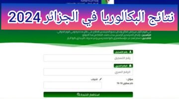 رابط نتائج البكالوريا 2024 الجزائر عبر موقع الديوان الوطني لجميع الولايات