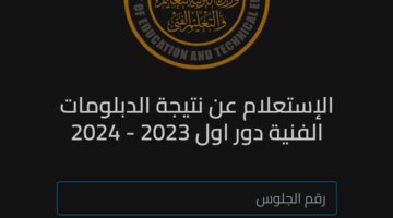 نتيجة الدبلومات الفنية 2024.. استعلم الآن برقم الجلوس عبر بوابة التعليم الفني