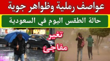 غبار يحجب الرؤية.. الأرصاد الجوية توضح حالة الطقس اليوم في السعودية وتفاصيل حول العاصفة الغبارية في بعض الأماكن