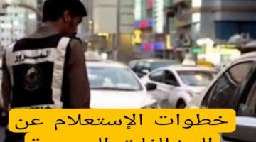 هام.. ماهي خطوات الاستعلام عن المخالفات المرورية إلكترونيا برقم الهوية؟