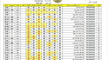 "سريع ومباشر" لينك نتائج السادس الاعدادي الدور الاول 2024 موقع نتائجنا ووزارة التربية