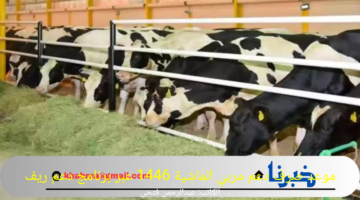 موعد صرف دعم مربي الماشية 1446 عبر برنامج دعم ريف reef.gov.sa