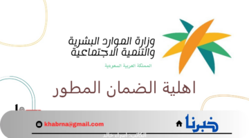 موعد إعلان نتائج اهلية الضمان الاجتماعي المطور الدورة 32 دفعة شهر أغسطس 2024 وتاريخ إيداع الدعم