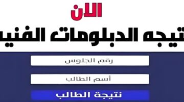 نتيجتك هُنا.. رابط نتائج الدبلومات الفنية 2024 بالأسم fany.emis.gov.eg وخطوات الاستعلام عنها خطوة بخطوة 