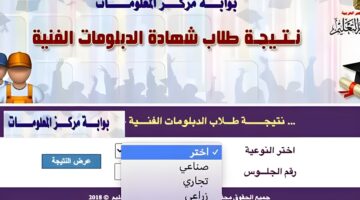 ظهرت حالا.. رابط نتائج الدبلومات الفنية 2024 تجاري وصناعي وسياحي وفندقي fany.emis.gov.eg