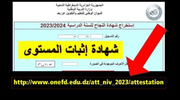 بخطوات بسيطة.. طريقة التعرف على نتائج اثبات المستوى 2024 وكشف نقاط امتحان المراسلة