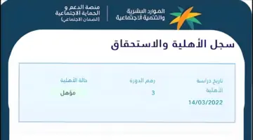 هنا.. خطوات الإستعلام عن أهلية الضمان الإجتماعي المطور الدفعة 32 برقم الهوية