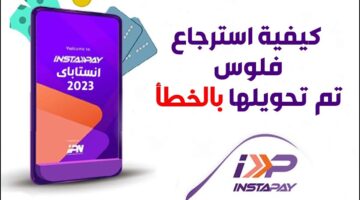 كل مشكلة ولها حل.. طريقة استرداد الأموال بعد تحويلها بالخطأ عن طريق انستا باي