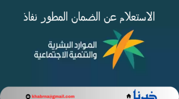 وزارة الموارد البشرية توضح خطوات الاستعلام عن معاش الضمان الاجتماعي المطور